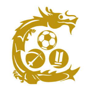 標(biāo)準(zhǔn)流浪