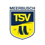 VFB漢堡格